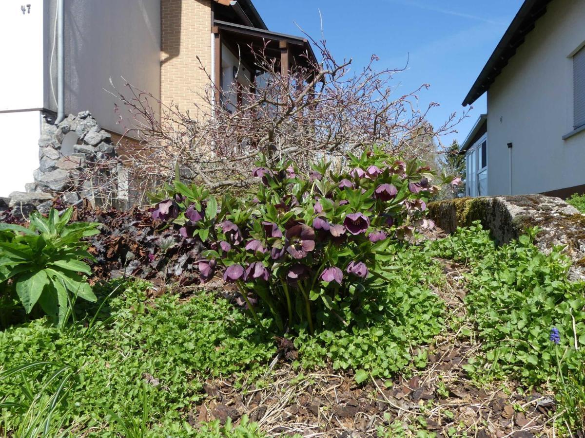 Ferienwohnung Schanbacher 오버젠트 외부 사진